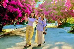 Xí chỗ để được check-in con đường hoa giấy tuyệt đẹp ở Nha Trang