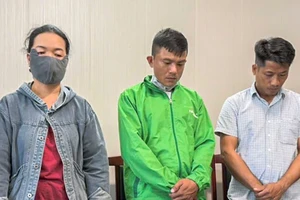 Khởi tố 3 người đổ chất thải trái phép từ dự án khu đô thị ra môi trường