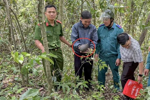 1 người dân ở Khánh Hòa bắt gặp con tê tê trên đường đi làm rẫy