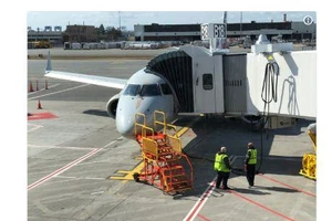 Máy bay buộc quay về vì va phải ngỗng trời