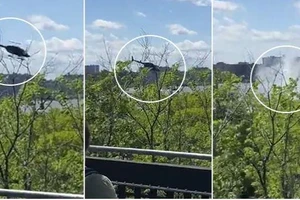 Kinh hoàng trực thăng lao xuống sông ở Mỹ