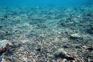 Trung Quốc bồi lấp trái phép ở Biển Đông gây hại nghiêm trọng