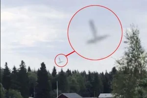 Rơi máy bay chở dân nhảy dù, 9 người thiệt mạng