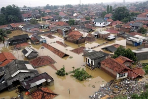 Tổng thống Indonesia xác nhận sẽ dời thủ đô khỏi Jakarta 