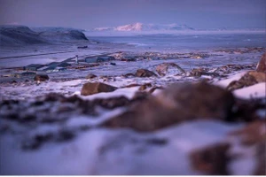 Đan Mạch: 'Mỹ mua đảo Greenland là vô lý'
