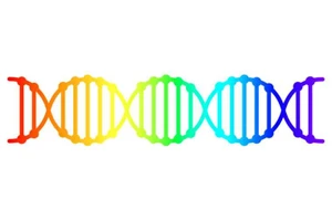 Khoa học gia kết luận: ‘Đồng tính’ không do gen quy định 