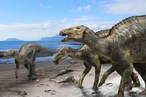 Phát hiện loài khủng long mới ở Nhật Bản