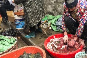 Việc buôn bán và giết mổ động vật hoang dã được cho là nguyên nhân lây truyền virus corona. Ảnh: South China Morning Post