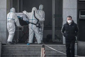 Nhân viên y tế tại một bệnh viện ở Vũ Hán đang di chuyển một nạn nhân nhiễm virus Corona hôm 31-1. Ảnh: AFP