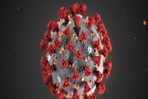 Chủng mới của virus Corona sẽ sớm có tên gọi chính thức. Ảnh: AP