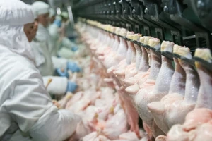 Một công dân Malaysia bị phạt tù tại Singapore vì biển thủ thịt gà. Ảnh: IEG POLICY