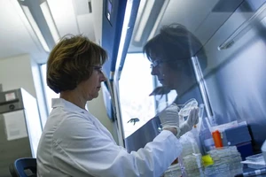 Các nhà khoa học Mỹ cho rằng virus gây dịch COVID-19 có thể tồn tại khoảng 2 giờ trong môi trường. Ảnh: AFP