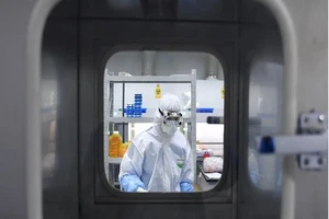 Các nhà khoa học trên thế giới đang chạy đua phát triển vaccine ngừa COVID-19. Ảnh: TÂN HOA XÃ