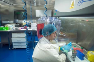 Chuyên gia làm việc tại Viện Virus học Vũ Hán, Trung Quốc (Ảnh chụp hồi tháng 6-2017). Ảnh: TÂN HOA XÃ