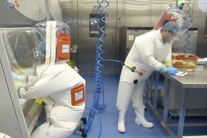 Chuyên gia làm việc trong Viện Virus học Vũ Hán, Trung Quốc (Ảnh chụp hồi tháng 6-2017). Ảnh: AEP