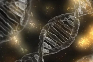 Các nhà khoa học Mỹ phát hiện đột biến lớn ở virus SARS-CoV-2, mở ra giả thuyết virus bắt đầu suy yếu - Ảnh minh họa. Ảnh: SPUTNIK