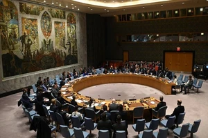 Phiên họp HĐBA LHQ hôm 26-2. Ảnh: AFP
