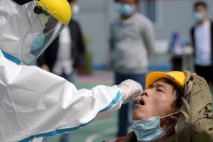 Nhân viên y tế xét nghiệm cư dân TP Vũ Hán, Trung Quốc ngày 15-5. Ảnh: REUTERS