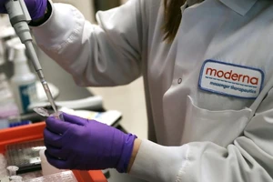 Các chuyên viên y tế của công ty Moderna nghiên cứu vaccine COVID-19 trong phòng thí nghiệm. Ảnh: THE BOSTON GLOBE