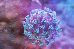 Bệnh nhân khỏi COVID-19 sau 3 tháng là mất miễn dịch