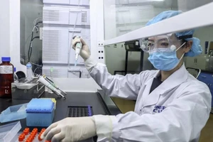 Các nước đang nỗ lực tìm ra vaccine để chấm dứt đại dịch. Ảnh: AP