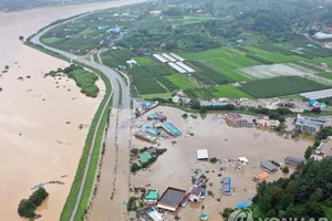 Các trận mưa liên tục không dứt đã gây ngập lụt ở một ngôi làng thuộc tỉnh Gyeongsang Nam (Hàn Quốc). Ảnh: YONHAP NEWS