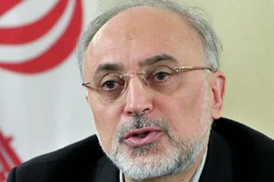 Người đứng đầu cơ quan hạt nhân của Iran - ông Ali Akbar Salehi. Ảnh: SERGEI PYATAKOV/SPUTNIK