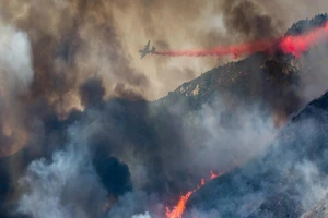 Cháy rừng kinh hoàng do tiệc 'tiết lộ giới tính thai nhi'