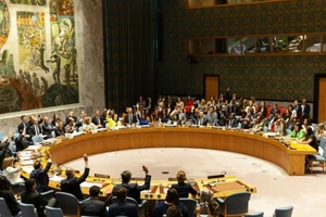 Tại một phiên họp của Hội đồng Bảo an LHQ. Ảnh: PA