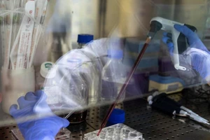 Một nhà nghiên cứu làm việc bên trong phòng thí nghiệm tại Đại học Chulalongkorn ở Bangkok (Thái Lan) ngày 25-5. 