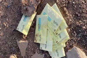 Arizona: Phát hiện nhiều phiếu bầu qua thư nghi bị đánh cắp