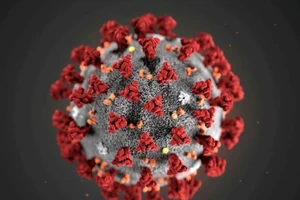 Hình thái siêu cấu trúc của chủng virus SARS-CoV-2. Ảnh: REUTERS