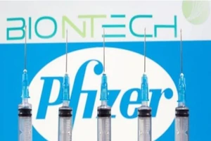 Logo tập đoàn dược phẩm Mỹ Pfizer và công ty công nghệ sinh học Đức BioNTech.