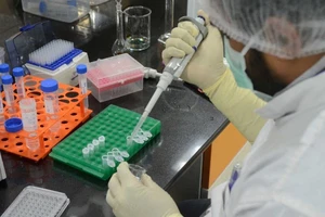 Nhà khoa học Ấn Độ làm việc với vacine COVAXIN trong phòng thí nghiệm. Ảnh: REUTERS