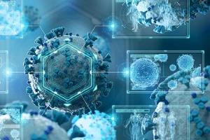 Ảnh minh họa - Virus SARS-CoV-2. Ảnh: STOCK ADOBE