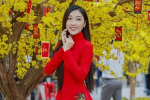 Chùm ảnh: Phố ông đồ rực rỡ sắc vàng dịp Tết Tân Sửu