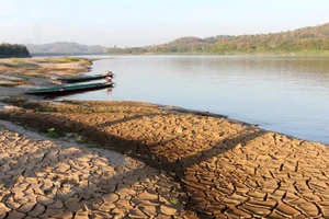 Mực nước sông Mekong xuống thấp đáng lo ngại. Ảnh: Paritta Wangkiat/AFP FORUM