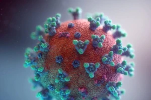 Đột biến mới khiến virus SARS-CoV-2 lây lan nhanh gấp 8 lần