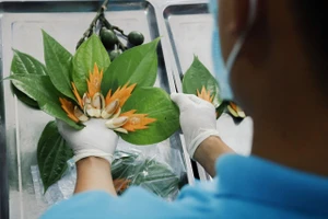 Mùa dịch, người dân mua mâm cúng online dịp Rằm