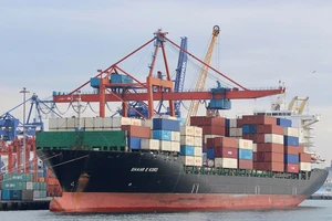 Tàu container Shahr e Kord (treo cờ Iran) đậu ở cảng Haydarpasa, TP Istanbul (Thổ Nhĩ Kỳ) hồi năm 2019. Ảnh: REUTERS