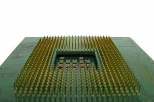 Pythium nằm trong số bảy thực thể Trung Quốc bị Bộ Thương mại Mỹ trừng phạt vào tuần trước.