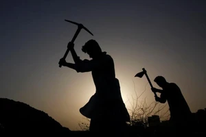 WHO: Làm việc nhiều giờ liền tăng nguy cơ đột quỵ, bệnh tim. Ảnh: REUTERS