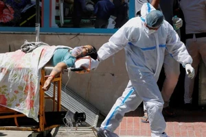 Báo cáo của WHO: Số ca chết vì COVID-19 thực tế cao gấp 3 lần. Ảnh: AFP