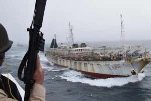 Hàng trăm tàu cá Trung Quốc bị nghi đánh bắt trái phép gần Argentina. Ảnh: AFP