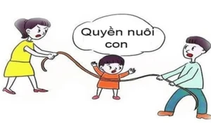 Lập luận của toà phúc thẩm vụ 'Vợ cũ tái hôn, chồng kiện đòi lại quyền nuôi con'