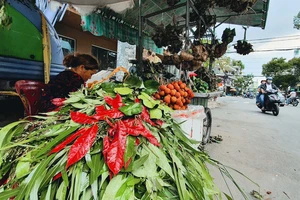 Tết Đoan Ngọ treo túi thơm, lá ngải cứu và xương rồng 