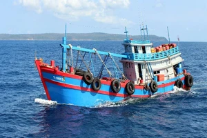 Cảnh sát biển 4 bắt 50.000 lít dầu lậu