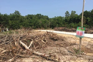 Phú Quốc: Đất đai lại phức tạp, Chủ tịch tỉnh chỉ đạo ‘nóng’