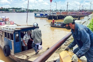 Sở GTVT đình chỉ hoạt động 12 tháng bến tàu Cần Thơ