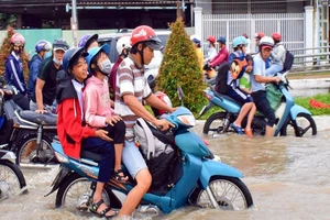 Sở GTVT Cần Thơ đề nghị chi 20 tỉ khắc phục đường hư do ngập